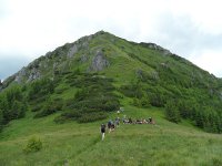 Roháče 2017